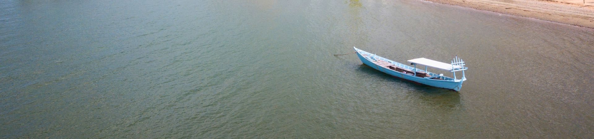 Image of Dolphin Coastal Expedition