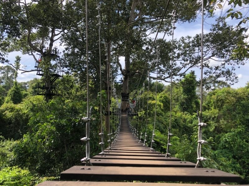 Eco Experience Siem Reap