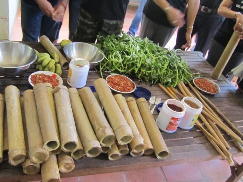 Free The Bears At Phnom Tamao