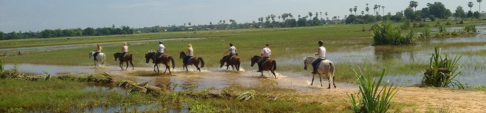 Image of Horseback Riding And Countryside