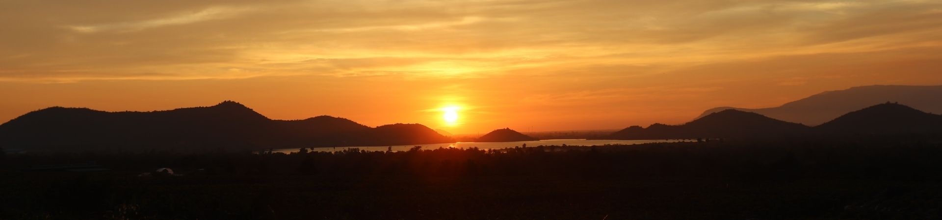Image of Kampot Pepper at sunset