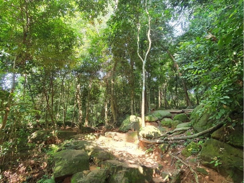 APOPO Visitor Center, Banteay Srei and Kbal Spean
