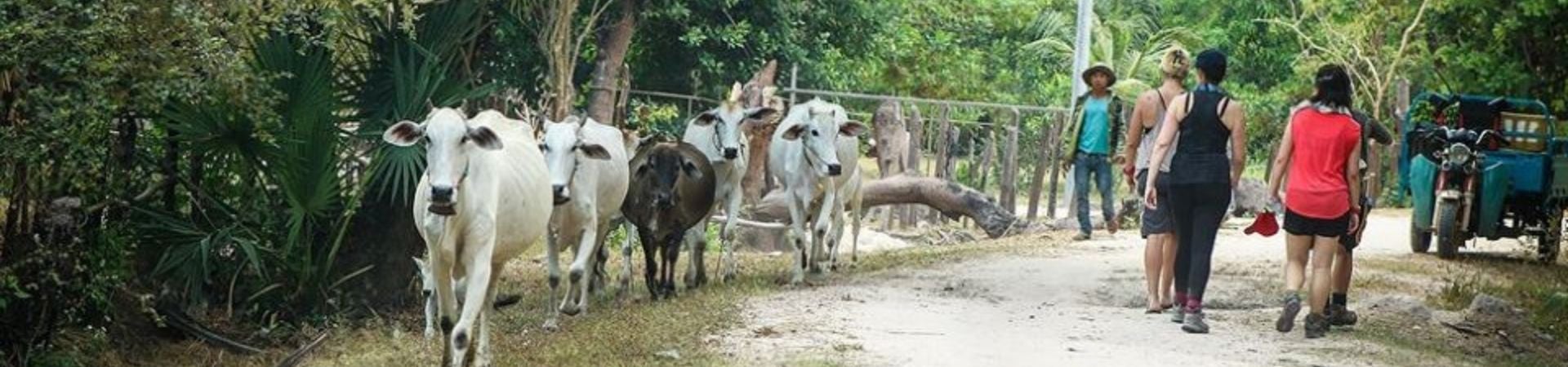 Image of Local Village Communities