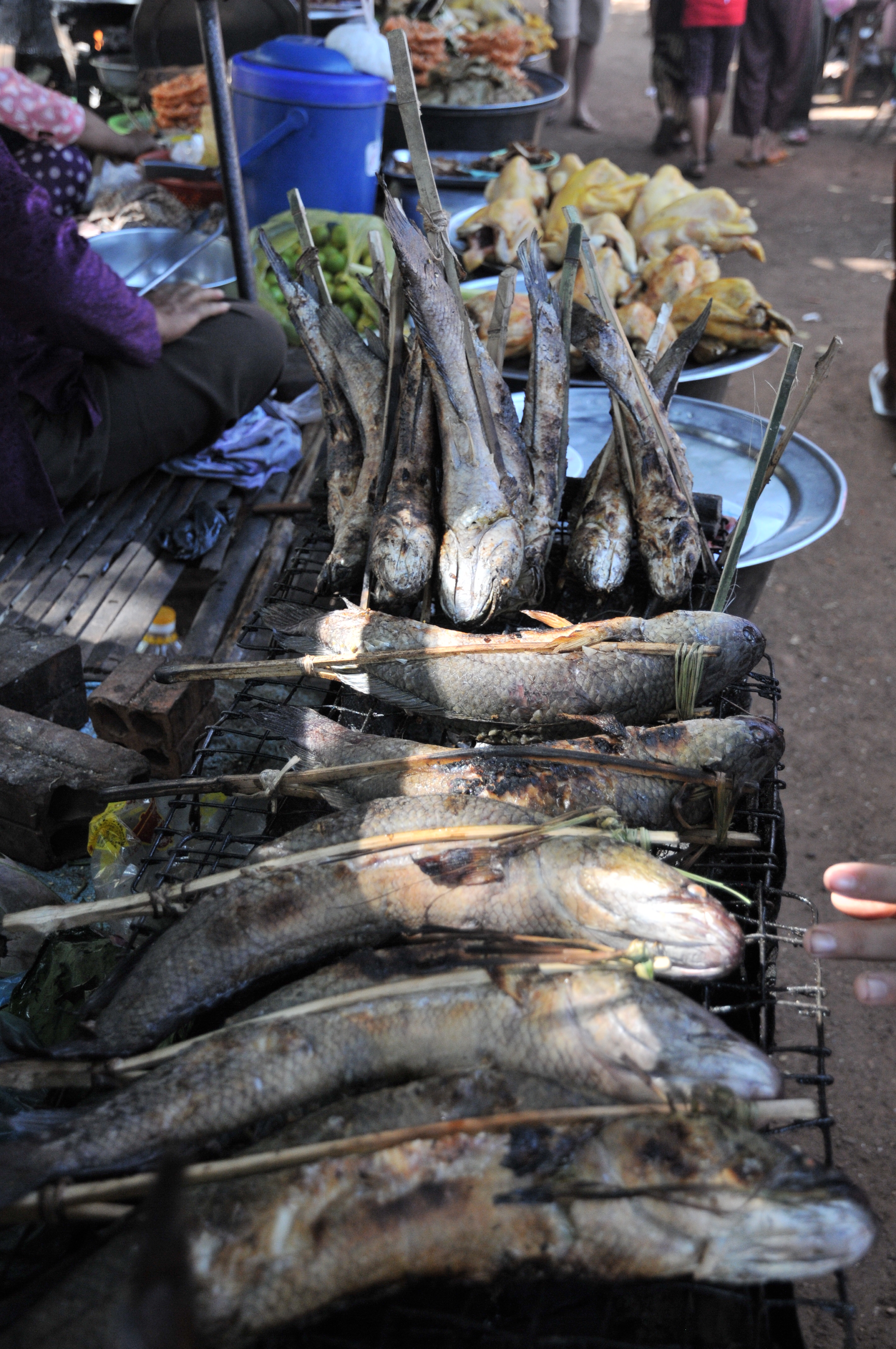 Oudong by Road and River