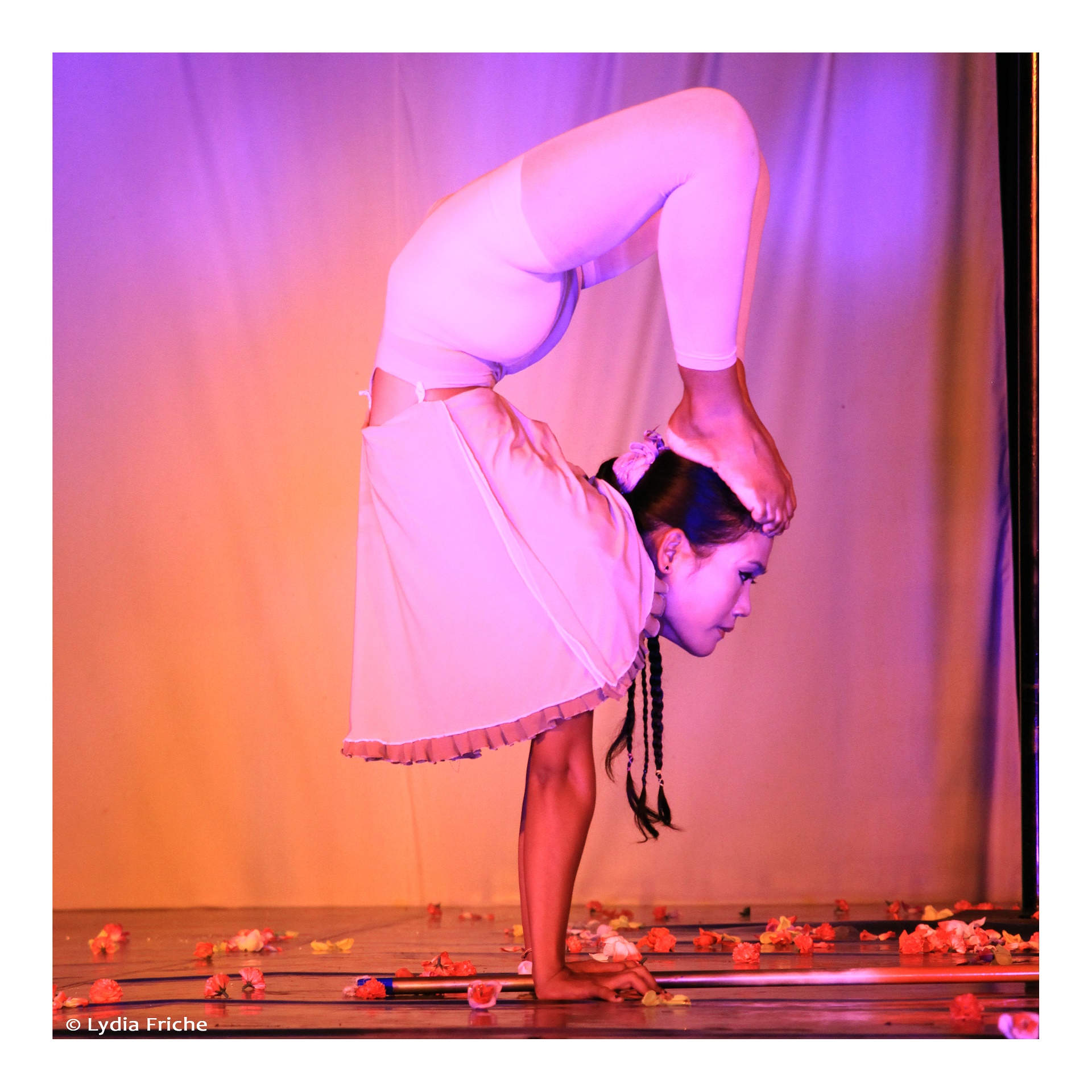 Phare Circus + Dinner (Join-in)