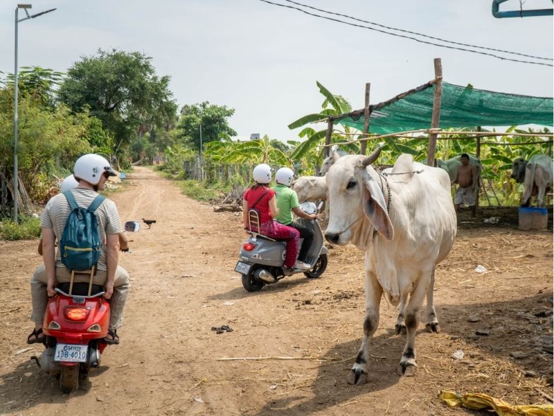 Phnom Penh Countryside by Vespa