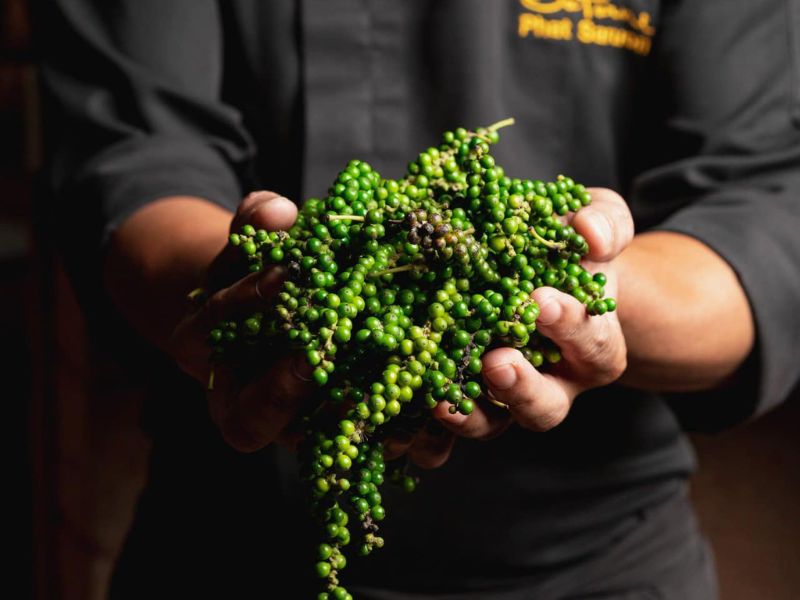 Taste Kampot Pepper (Join-in)