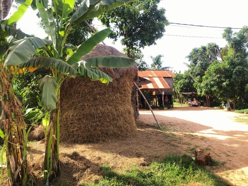 Temples and Countryside by Bicycle