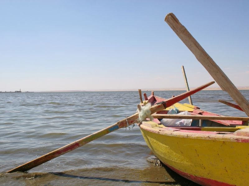 Highlights of Fayoum Oasis