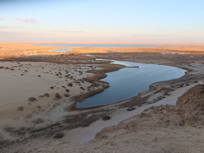 Highlights of Fayoum Oasis