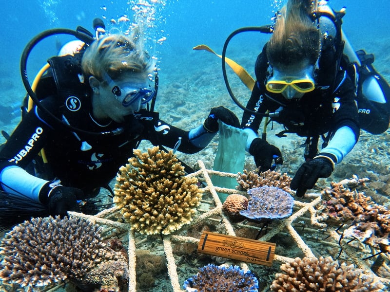 A Restoration Snorkel Experience