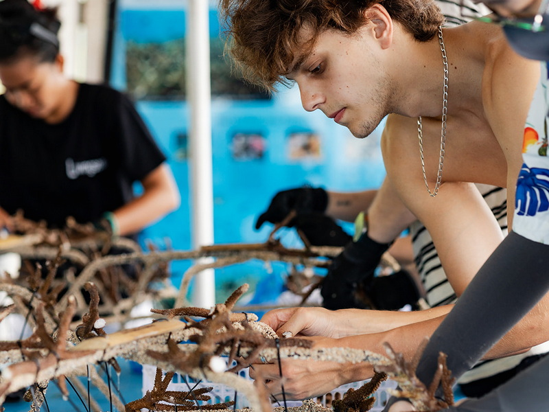 A Restoration Snorkel Experience