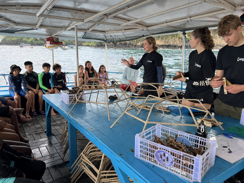 A Restoration Snorkel Experience