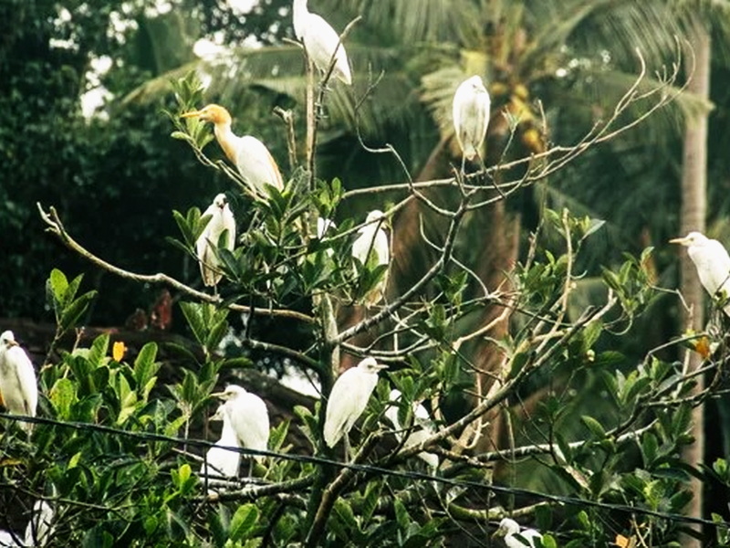 A Return to Roots & Ancient Civilization