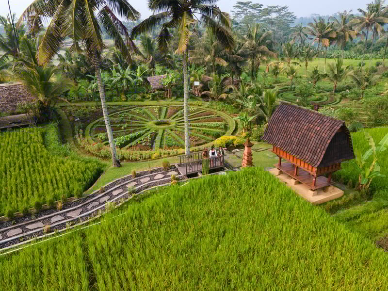 A Return to Roots & Ancient Civilization