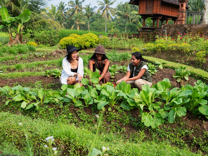 A Return to Roots & Ancient Civilization