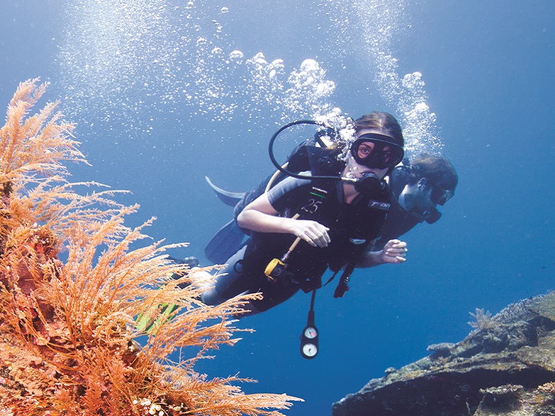 Amed Dive 2x Dives Bali