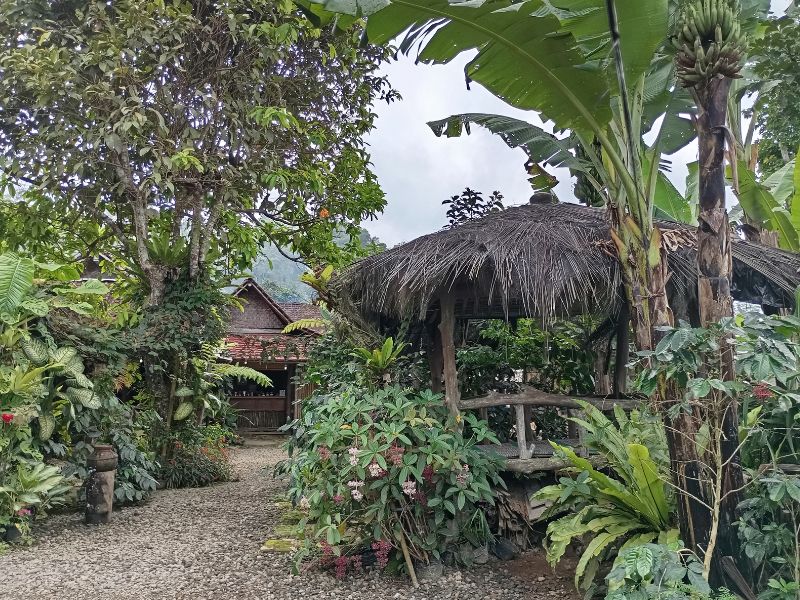 An Introduction to Java Coffee