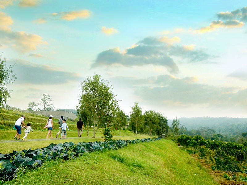 Bali Coffee, Vistas and Culture