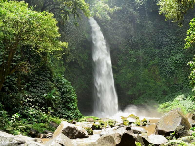 Bali Coffee, Vistas and Culture