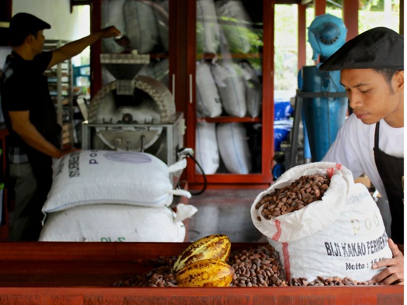 Bali Eco Discovery