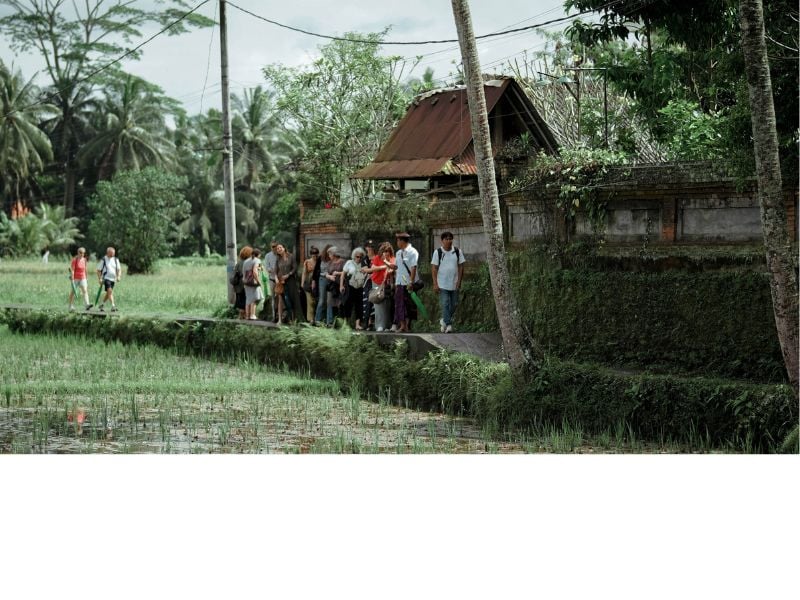 Bali Herbal and Relaxation