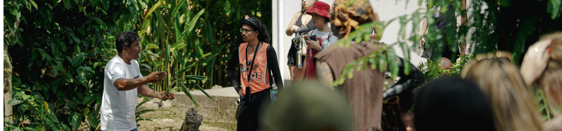 Image of Bali Herbal Walk