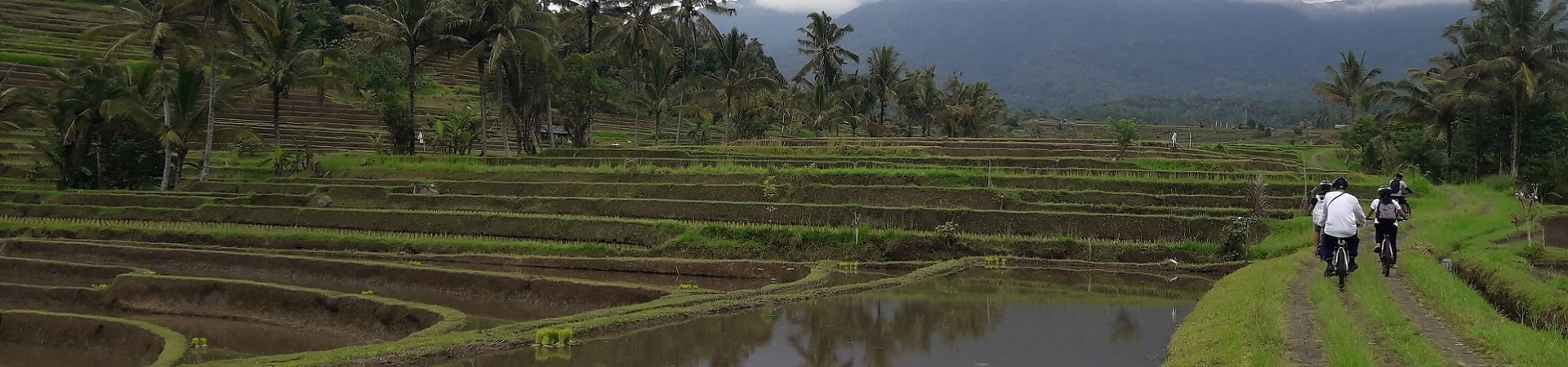 Image of Bali Lakes and Hills by E-Bike