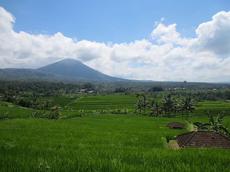 Bali Lakes and Hills