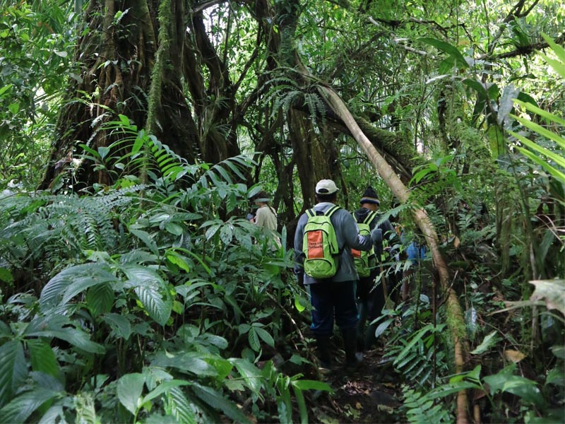 Bali Survive and Revive