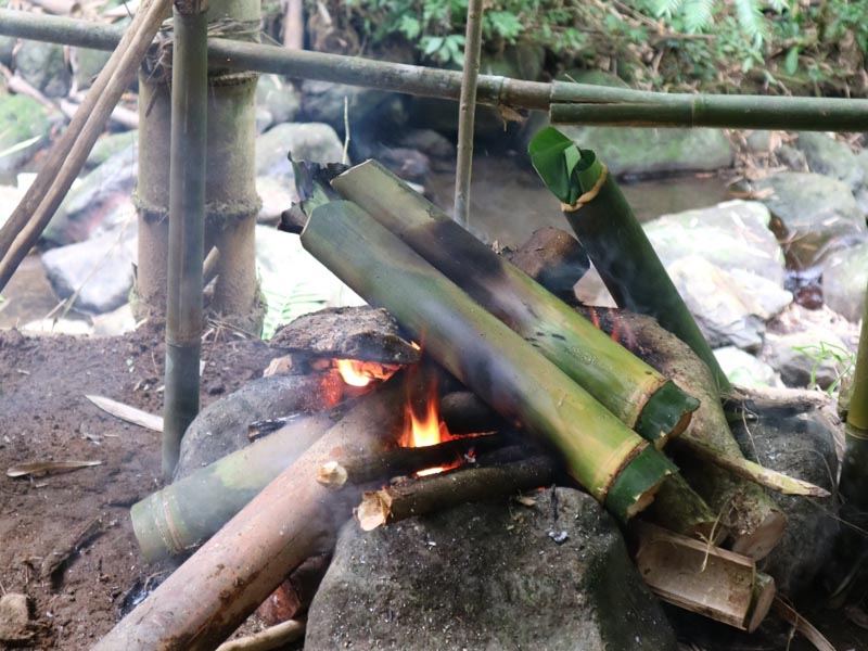 Bali Survive and Revive