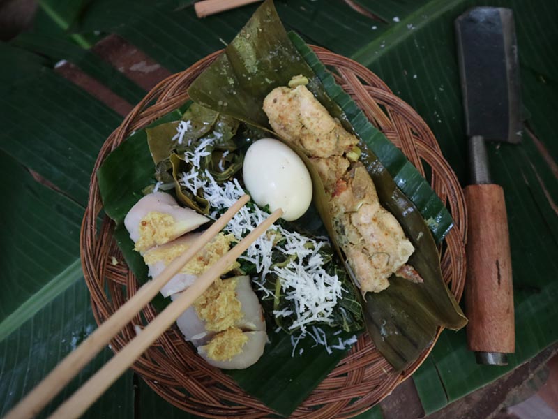 Bali Survive and Revive