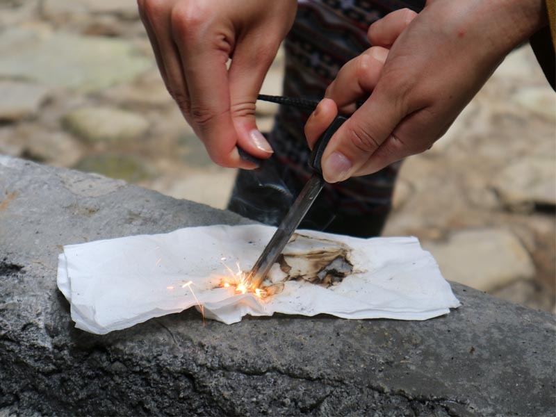 Bali Survive and Revive