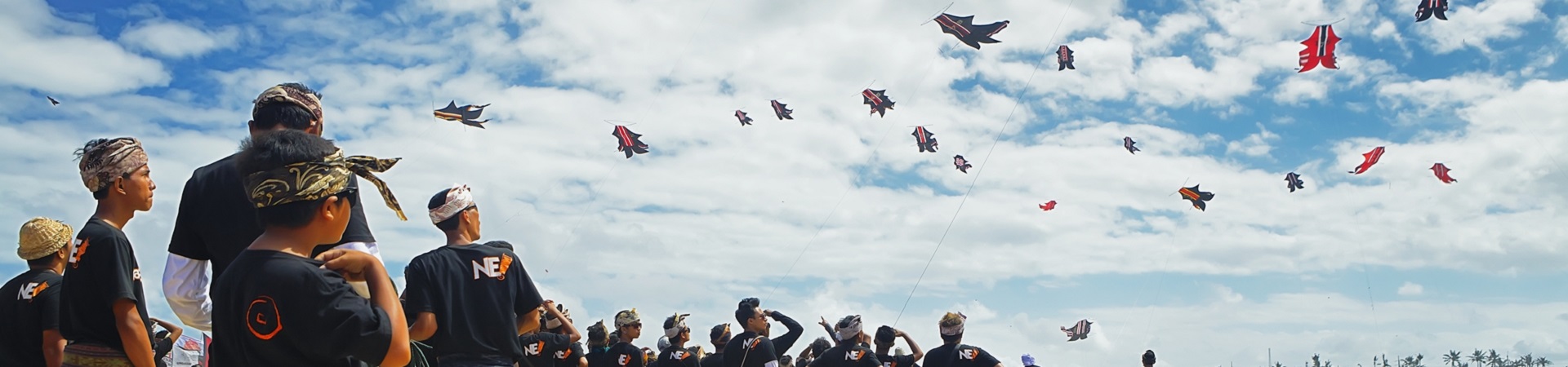 Image of Balinese Kite Making