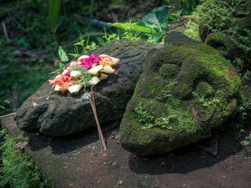 Balinese Water Blessing and Purification