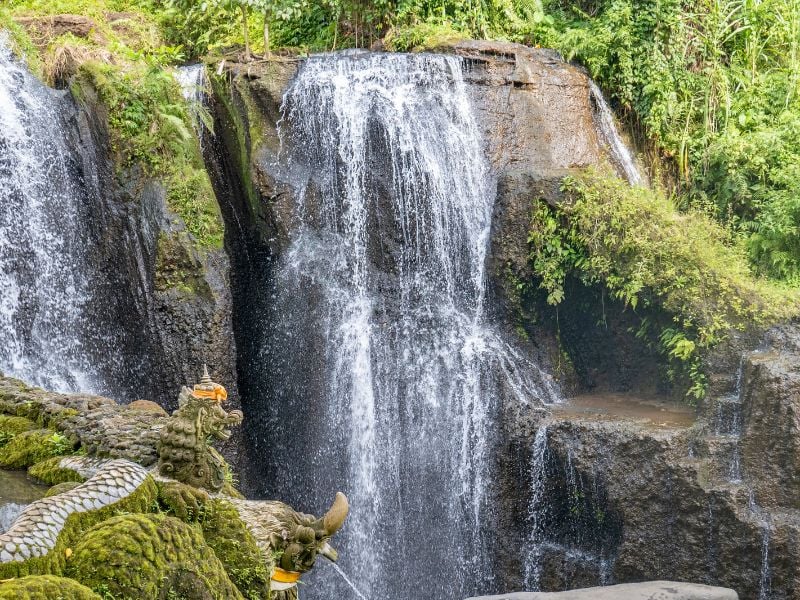 Balinese Water Blessing and Purification