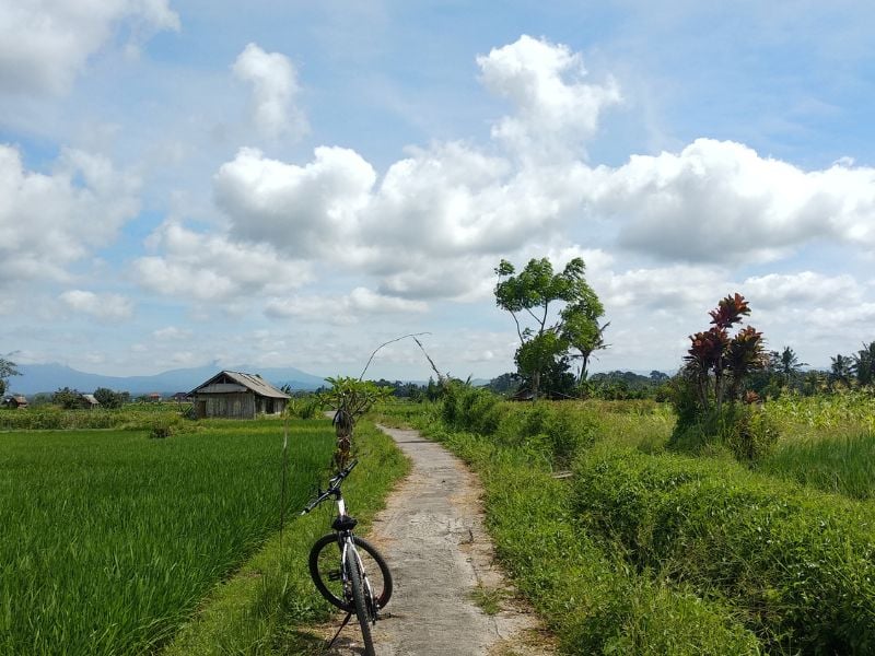 Bali’s Backroads on an E-Bike