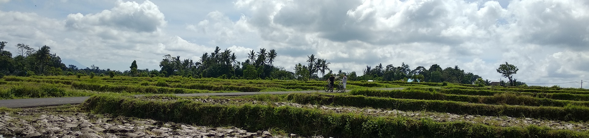 Image of Bali’s Backroads on an E-Bike