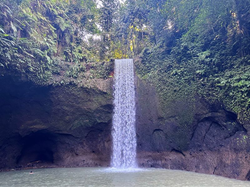 Bali’s Temples and Waterfalls