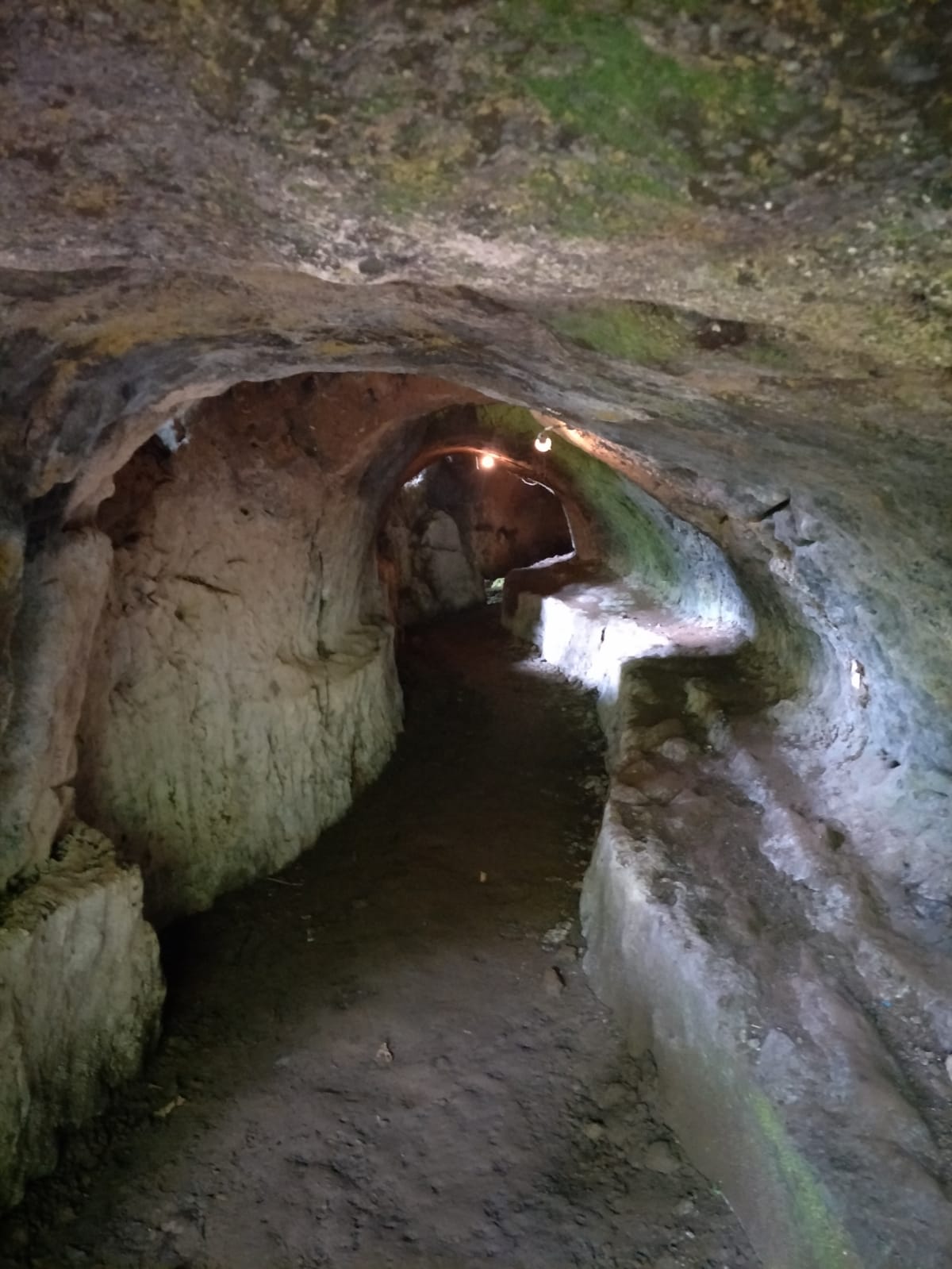 Bayad Eco Trek