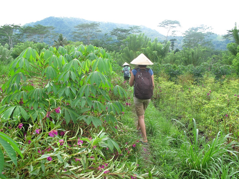 Beauties of Karangasem