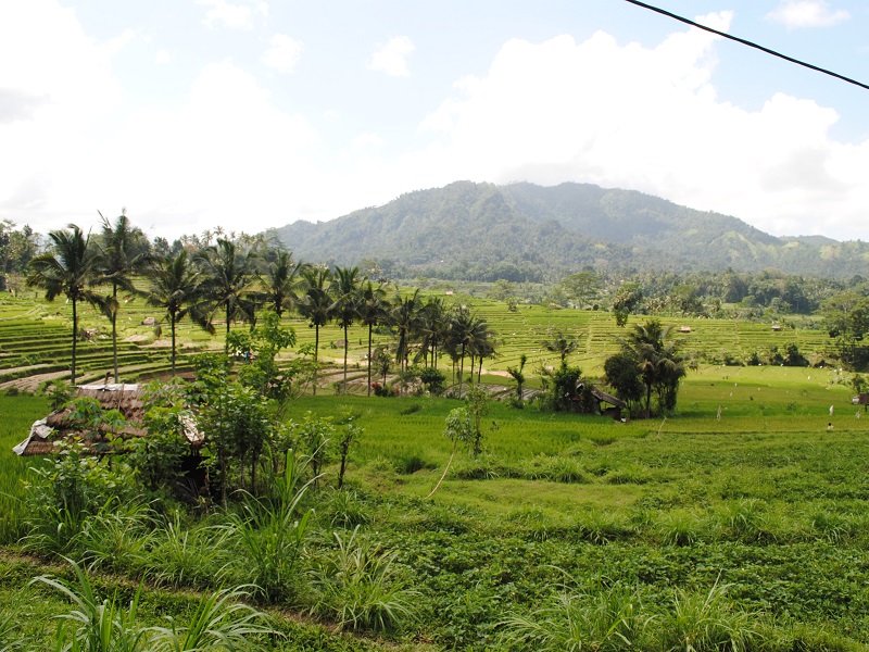 Besakih Temple and Sidemen Cycling