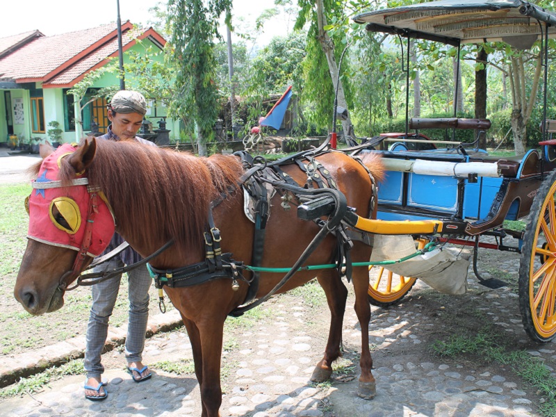 Borobudur and Candirejo