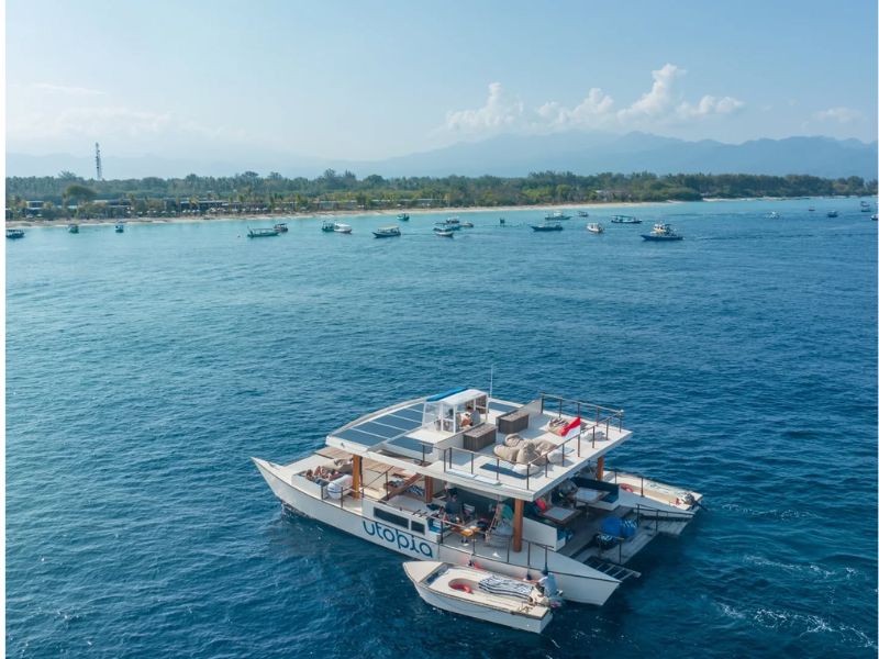 Catamaran Morning Cruise