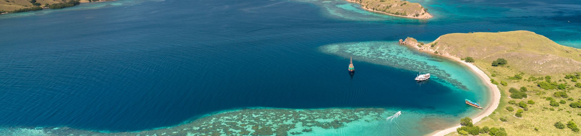 Image of Catamaran Morning Cruise