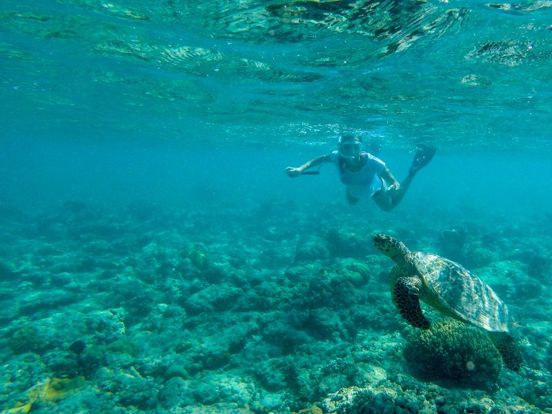 Catamaran Sunset Cruise