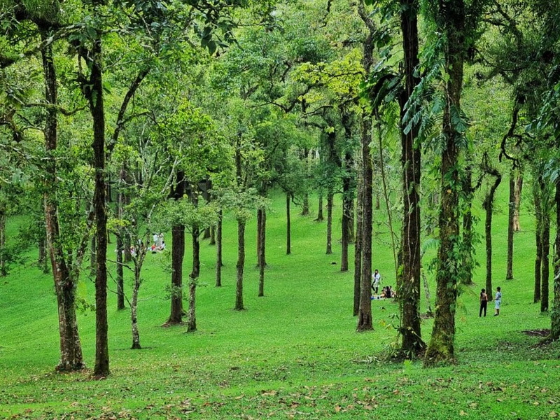 Central Highland Birds Walk and Wonders of Flora