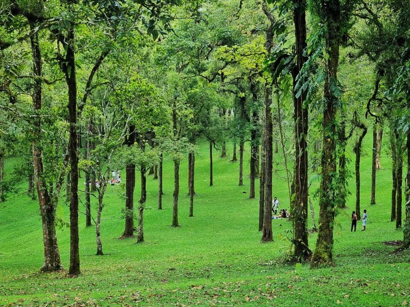 Central Highland Birds Walk and Wonders of Flora