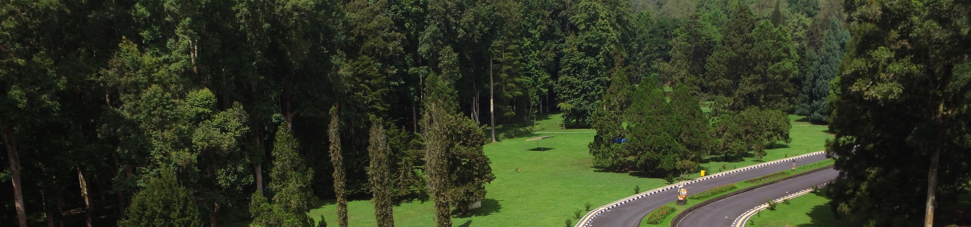 Image of Central Highland Birds Walk and Wonders of Flora
