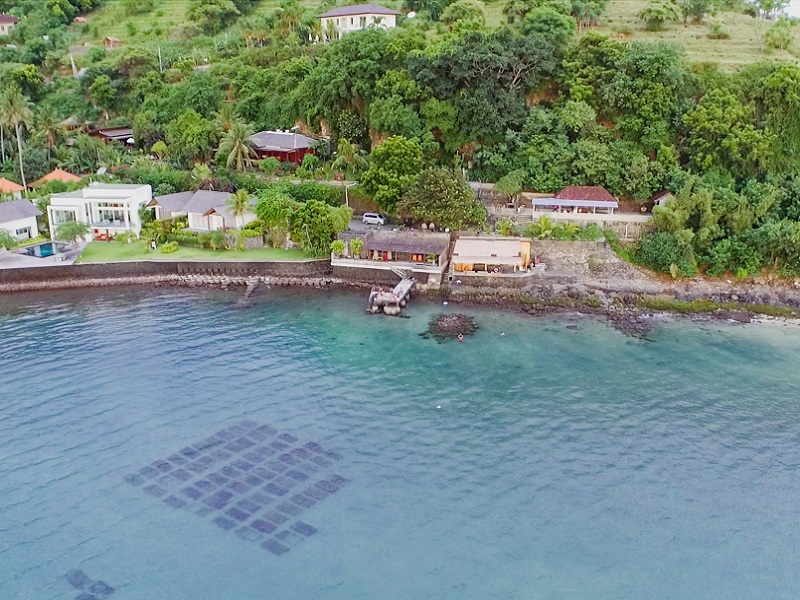 Coral Farming with a Marine Biologist